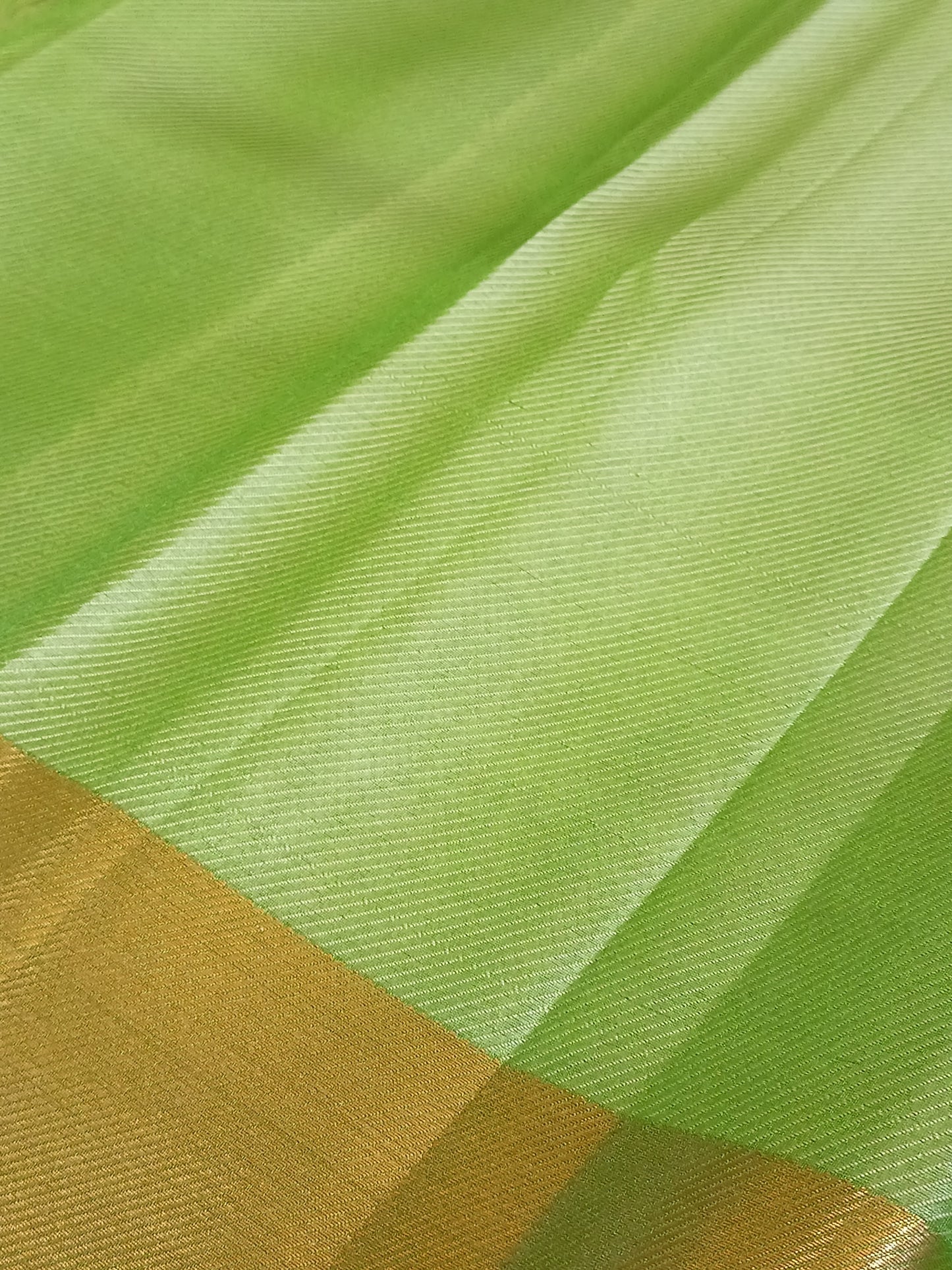 Nita Ambani Inspired Green Tissue Silk Saree