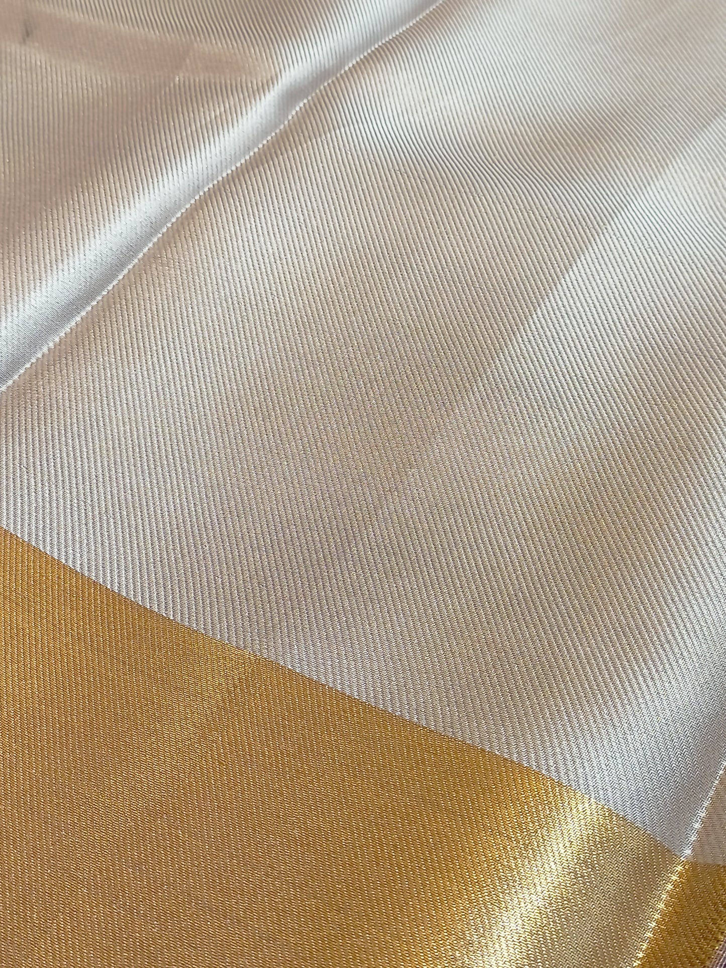 Nita Ambani Inspired Grey Tissue Silk Saree