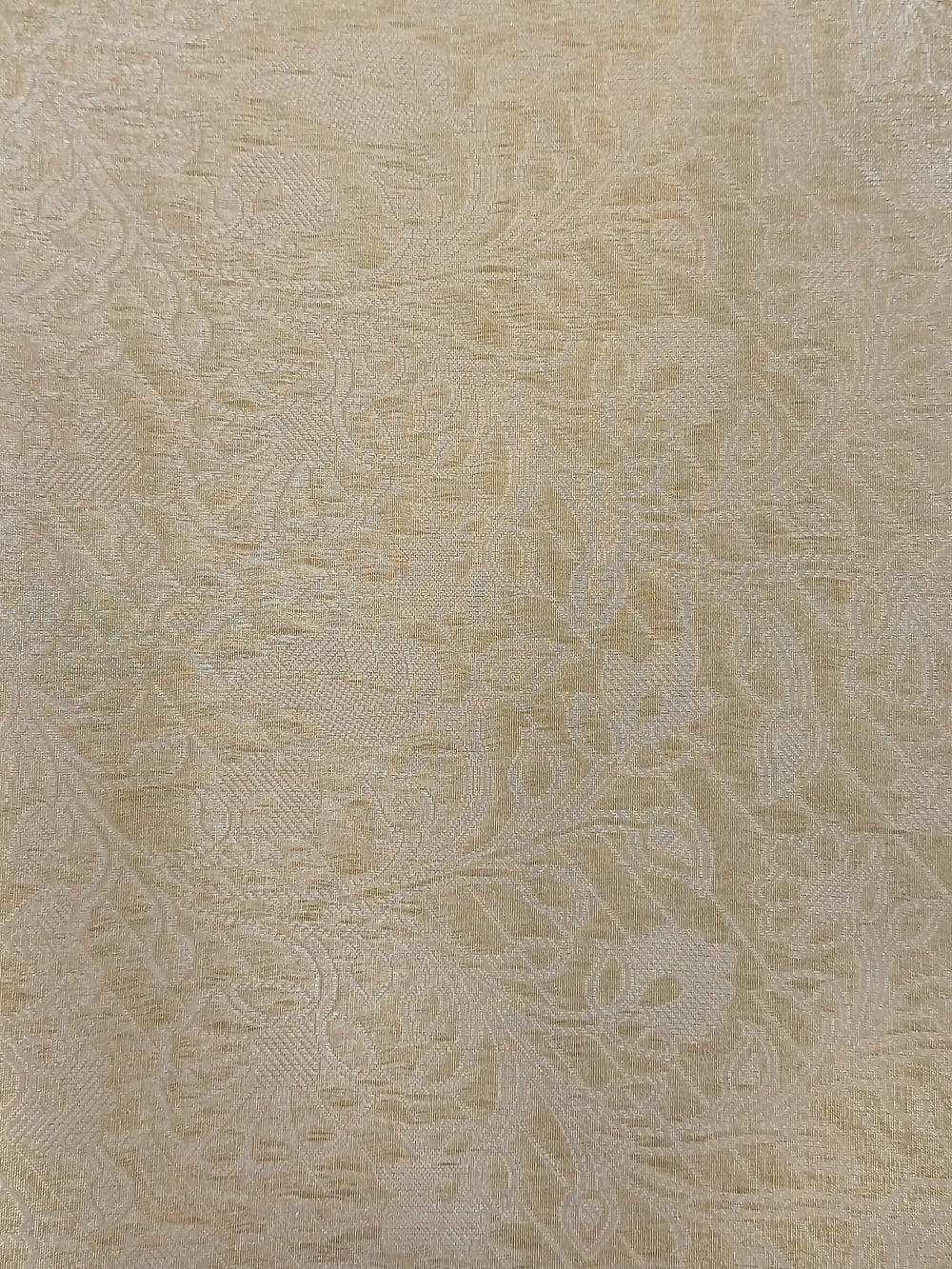 Banarasi tissue silk saree