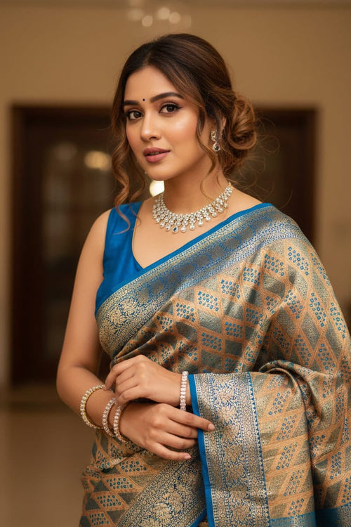 Woman wearing a traditional saree with a blue blouse in an indoor setting