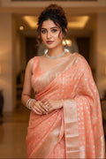 Woman in a peach saree with a blurred indoor background